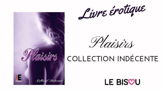 livre plaisirs collection indécente