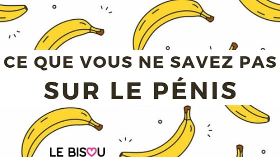 ce que vous ne savez pas sur le pénis