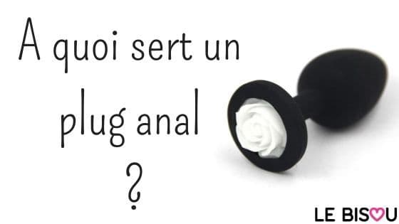 a quoi sert un plug anal