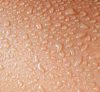 Eau en brume - & autres Dialogues Interdits