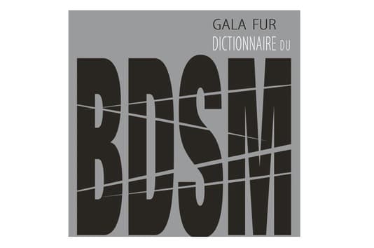 Dictionnaire du BDSM - gala fur - livre érotique