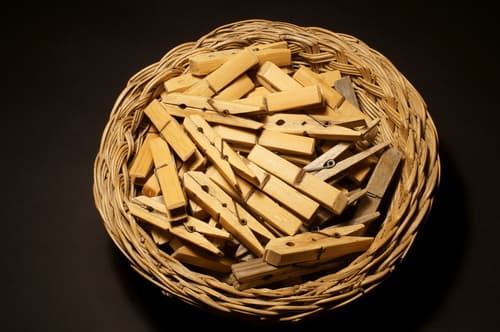 Pince à linge - sexe - BDSM