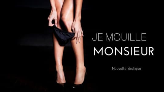 nouvelle érotique soumission